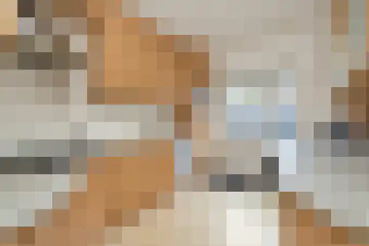 Saturnusstraat 20 Berghem thumbnail 4