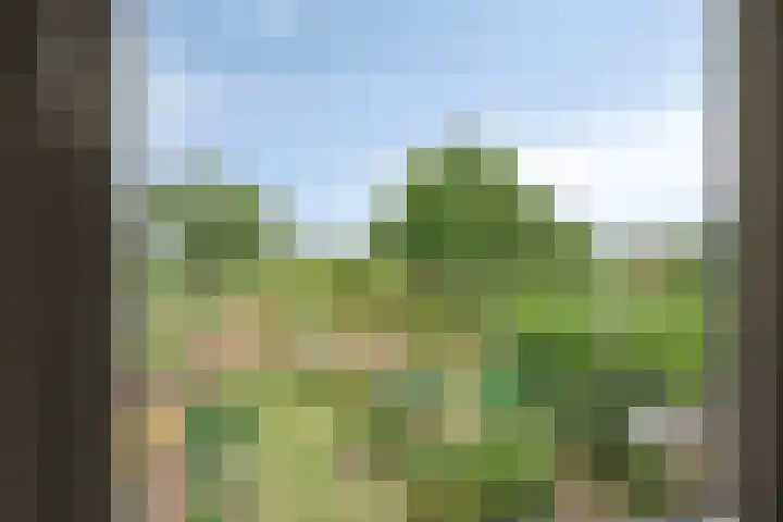 Saturnusstraat 20 Hardenberg thumbnail 16
