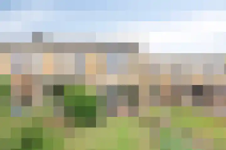 Saturnusstraat 20 Hardenberg thumbnail 24