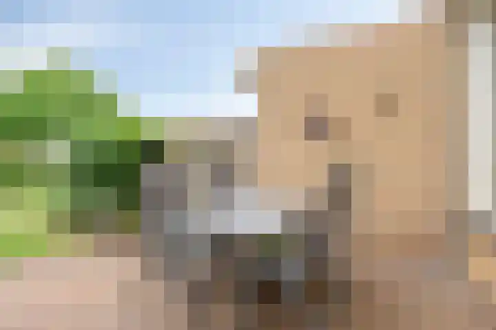 Saturnusstraat 20 Hardenberg thumbnail 25
