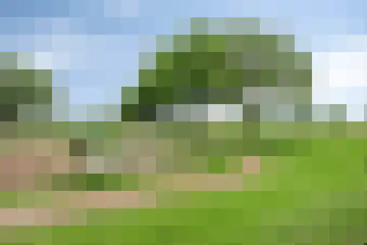 Saturnusstraat 20 Hardenberg thumbnail 27