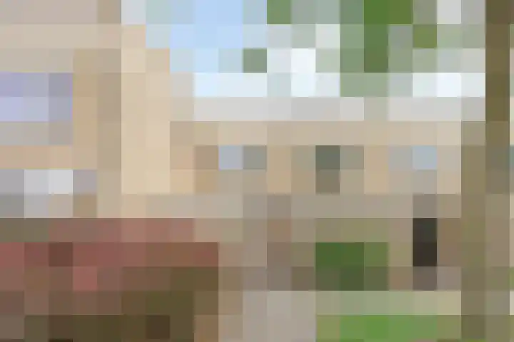 Saturnusstraat 20 Hardenberg thumbnail 4