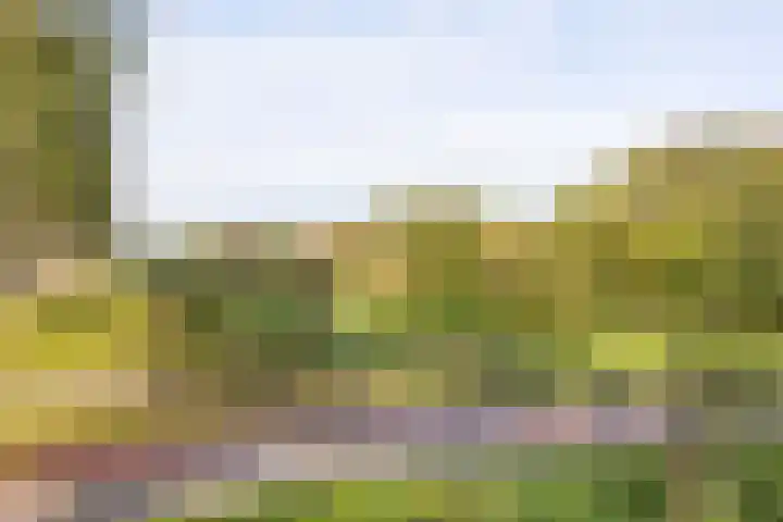 Saturnusstraat 225 Hoofddorp thumbnail 8