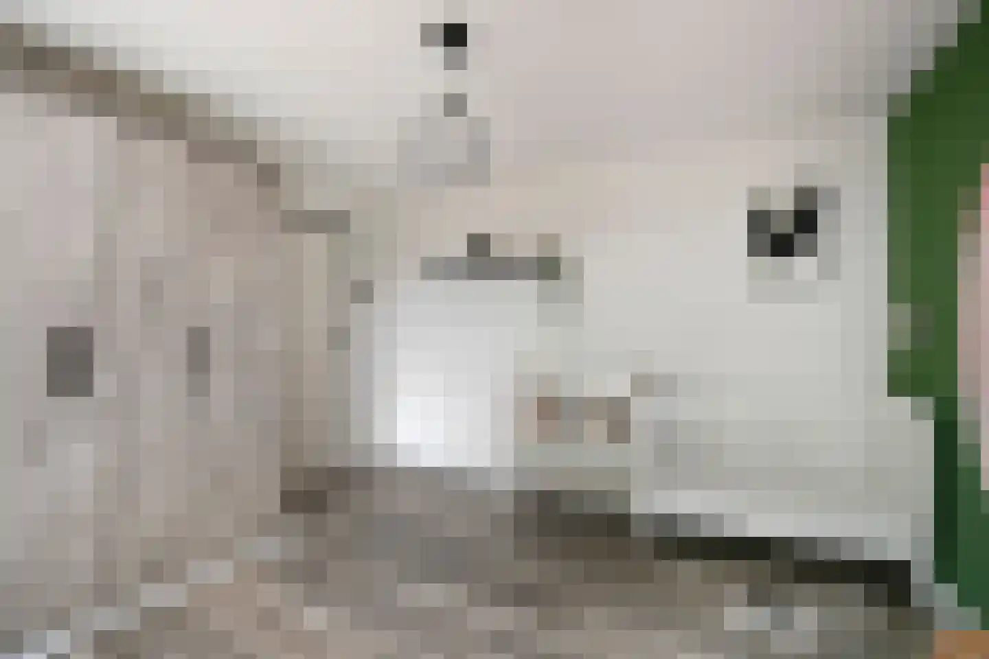 Saturnusstraat 23 Hardenberg thumbnail 18