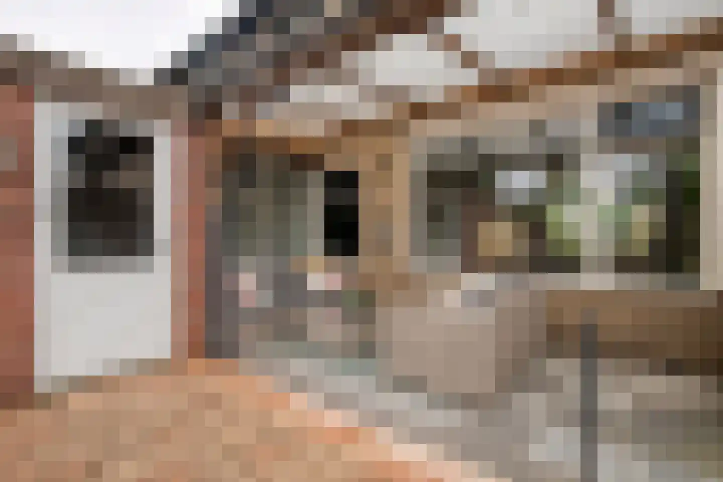 Saturnusstraat 23 Hardenberg thumbnail 26