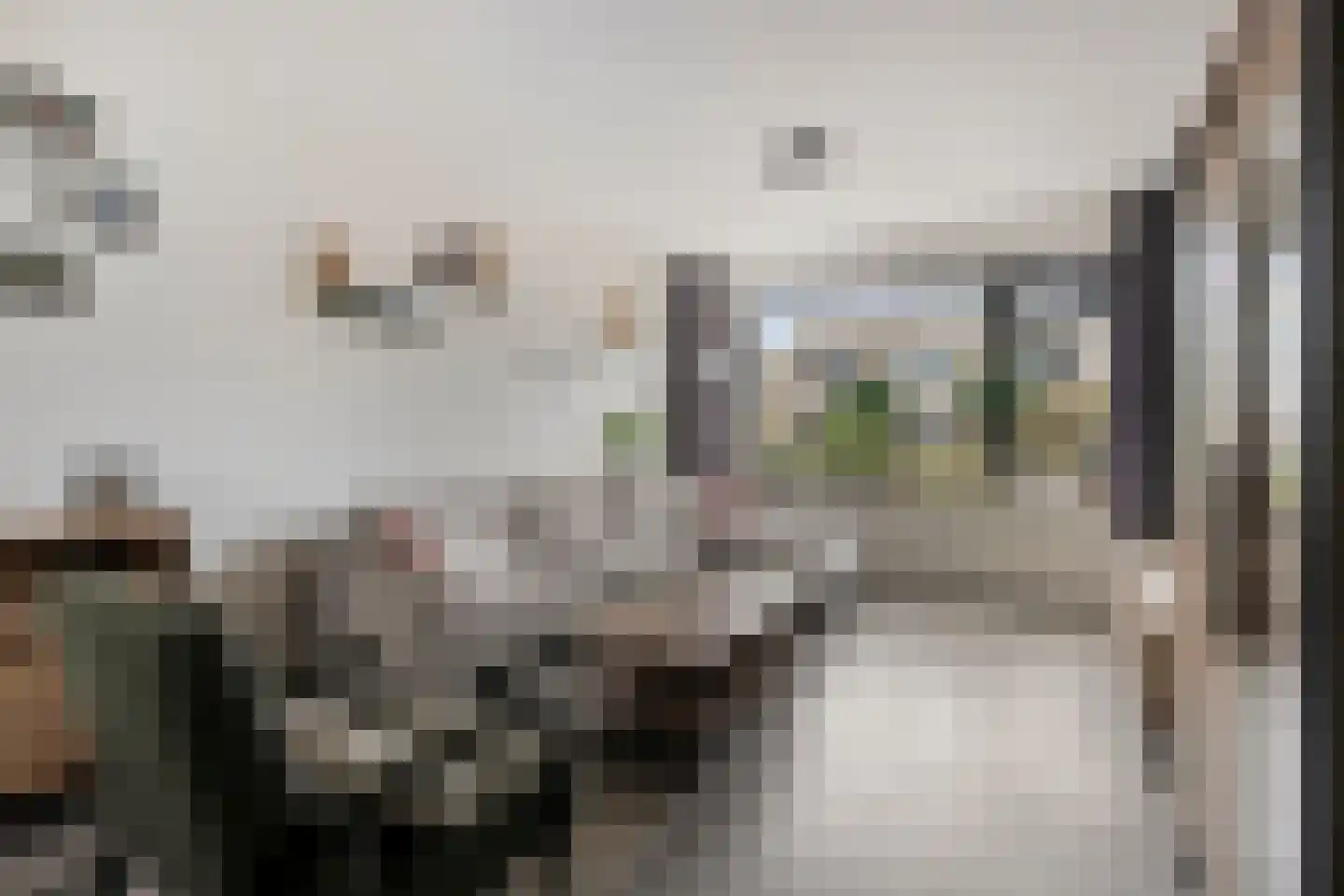 Saturnusstraat 23 Hardenberg thumbnail 8