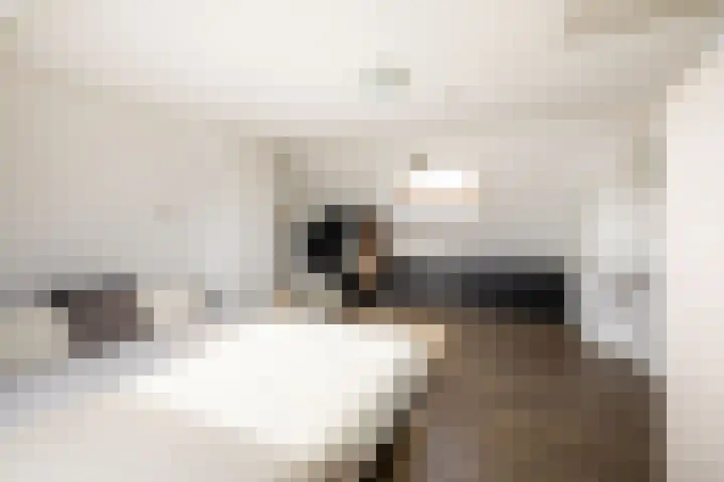 Saturnusstraat 23 Purmerend thumbnail 37