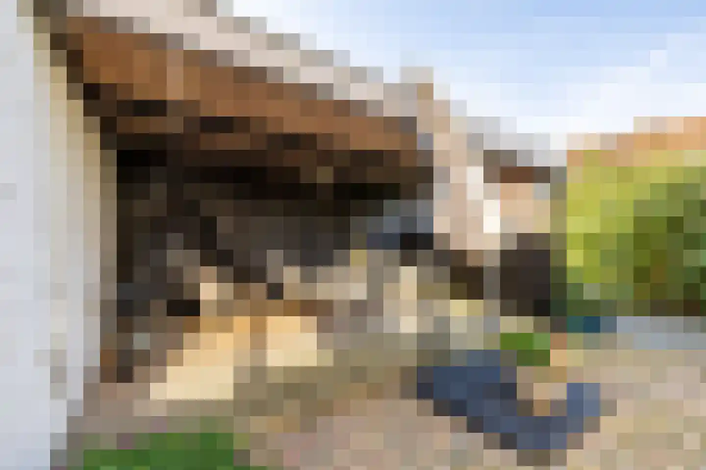 Saturnusstraat 23 Purmerend thumbnail 42