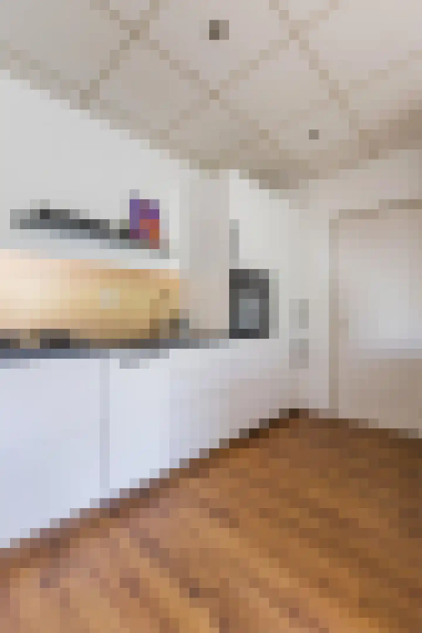 Saturnusstraat 243 Hoofddorp thumbnail 22