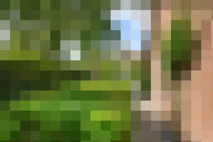 Saturnusstraat 25 Oudorp thumbnail 52