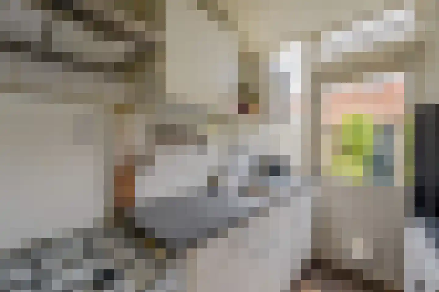Saturnusstraat 27 Hilversum thumbnail 16