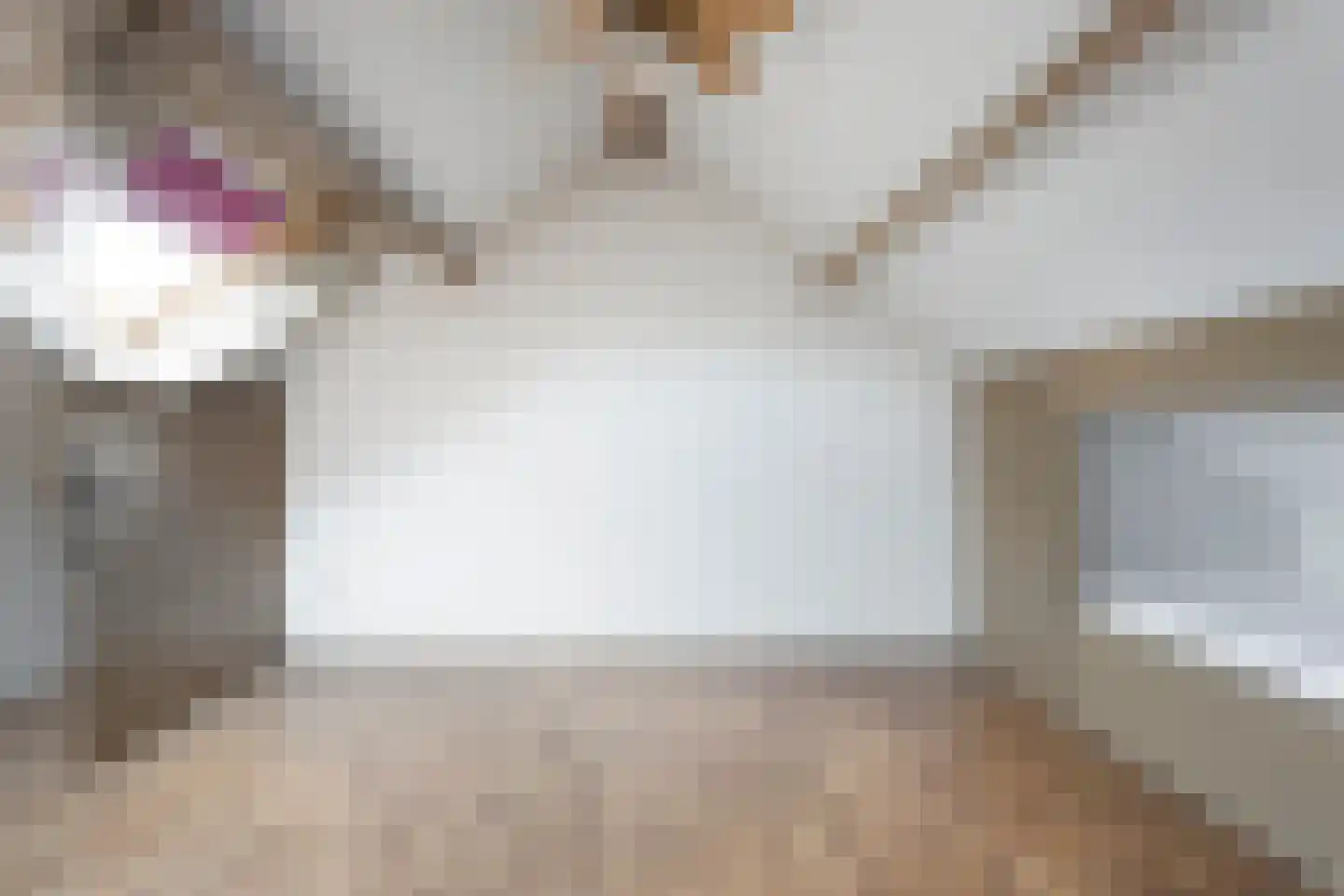 Saturnusstraat 3 Berghem thumbnail 27
