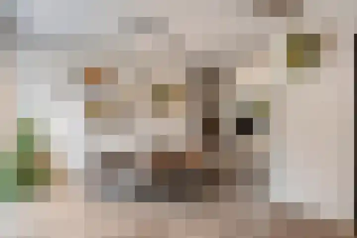 Saturnusstraat 33 Asten thumbnail 12