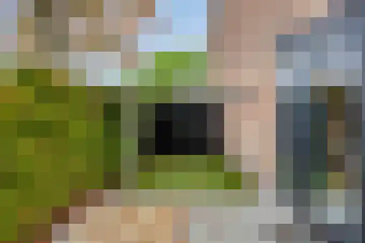 Saturnusstraat 33 Asten thumbnail 36