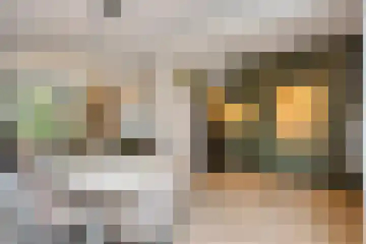 Saturnusstraat 33 Asten thumbnail 9