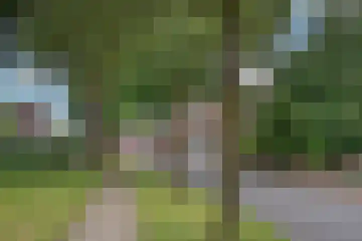 Saturnusstraat 33 Hengelo thumbnail 32
