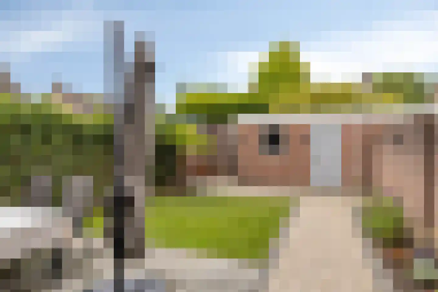 Saturnusstraat 34 Asten thumbnail 28