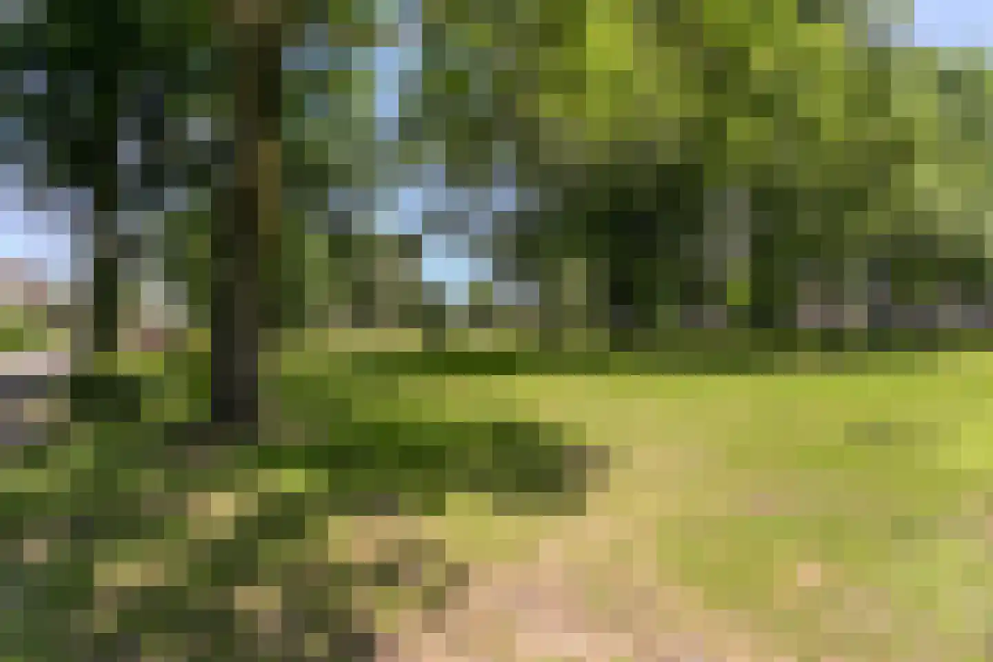 Saturnusstraat 34 Asten thumbnail 33