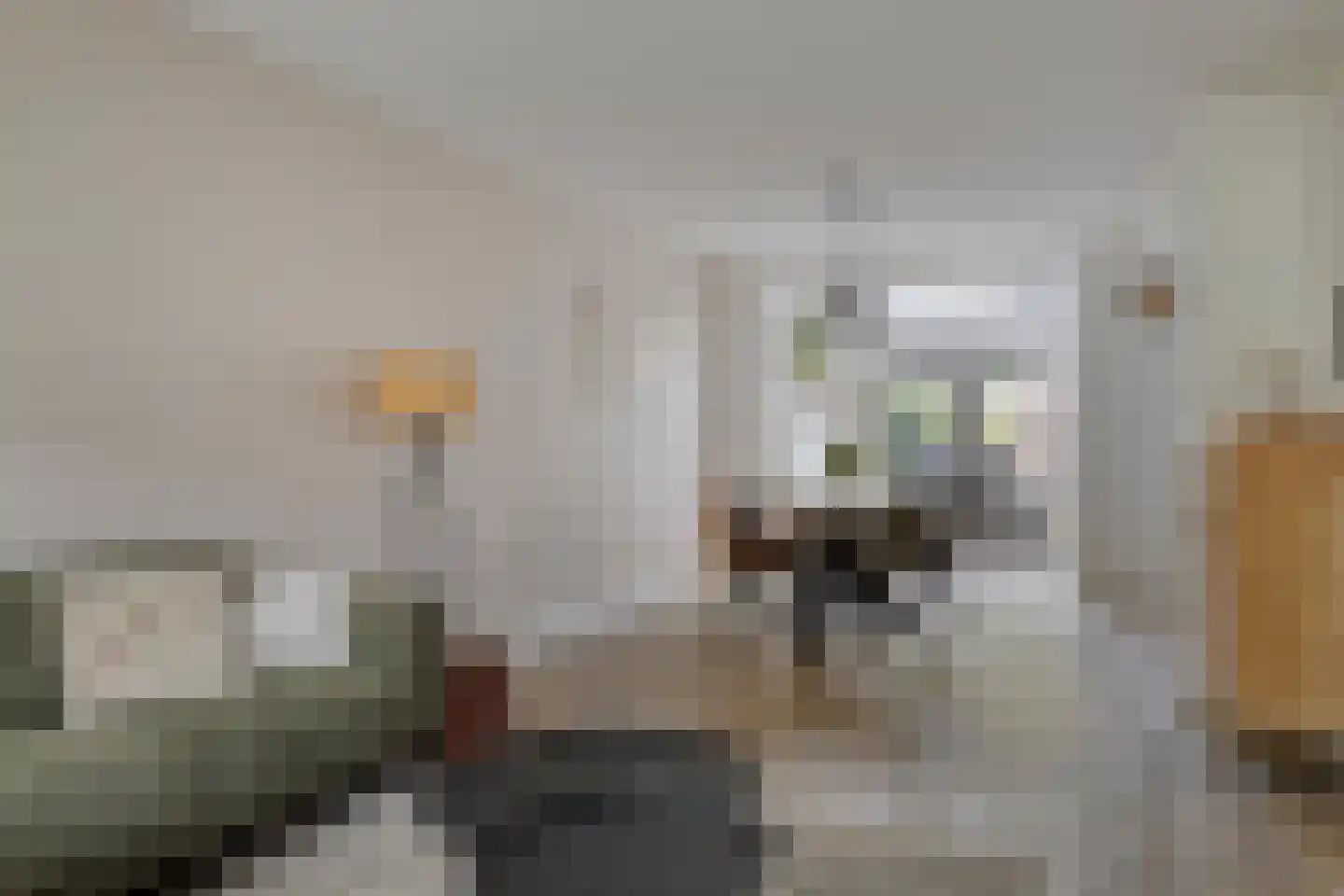 Saturnusstraat 34 Asten thumbnail 4