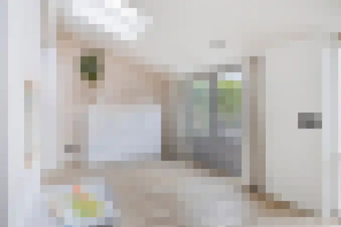 Saturnusstraat 34 Asten thumbnail 7
