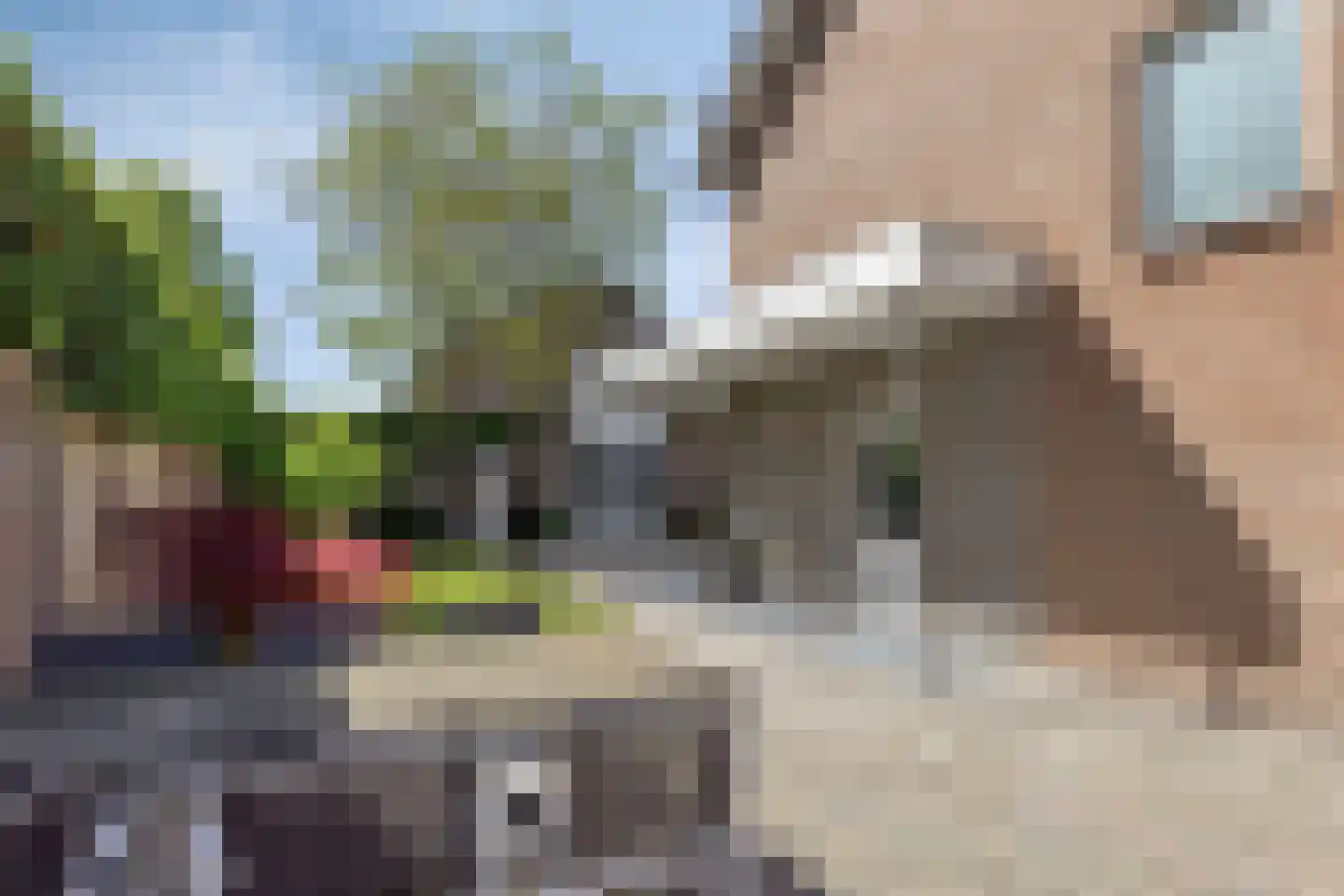 Saturnusstraat 35 Asten thumbnail 35