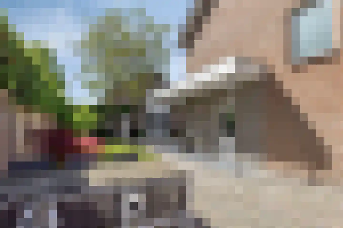 Saturnusstraat 35 Asten thumbnail 35