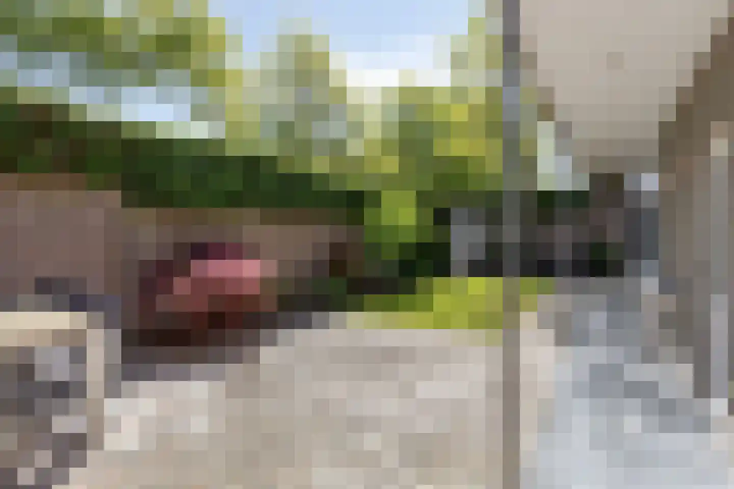 Saturnusstraat 35 Asten thumbnail 36