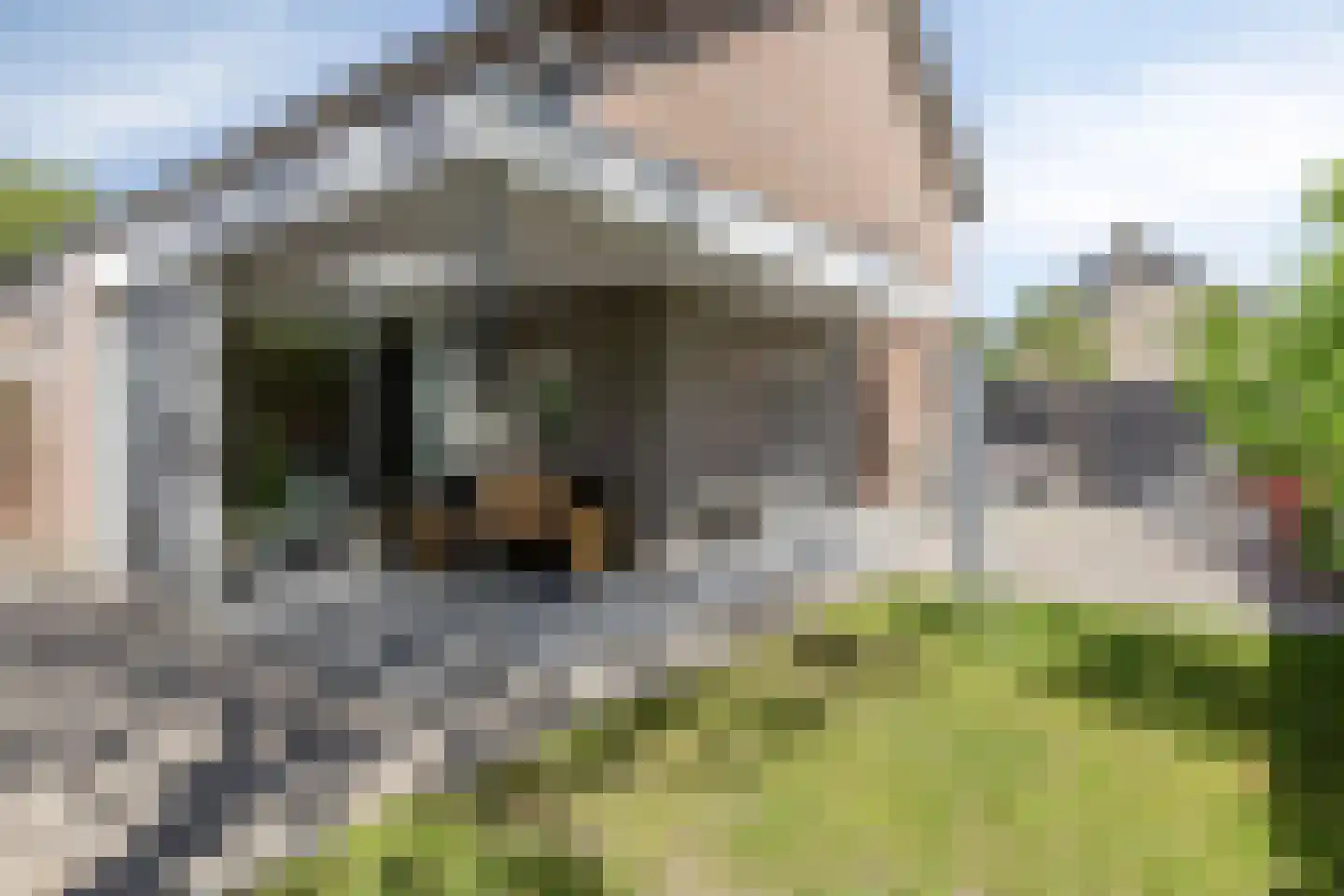 Saturnusstraat 35 Asten thumbnail 38