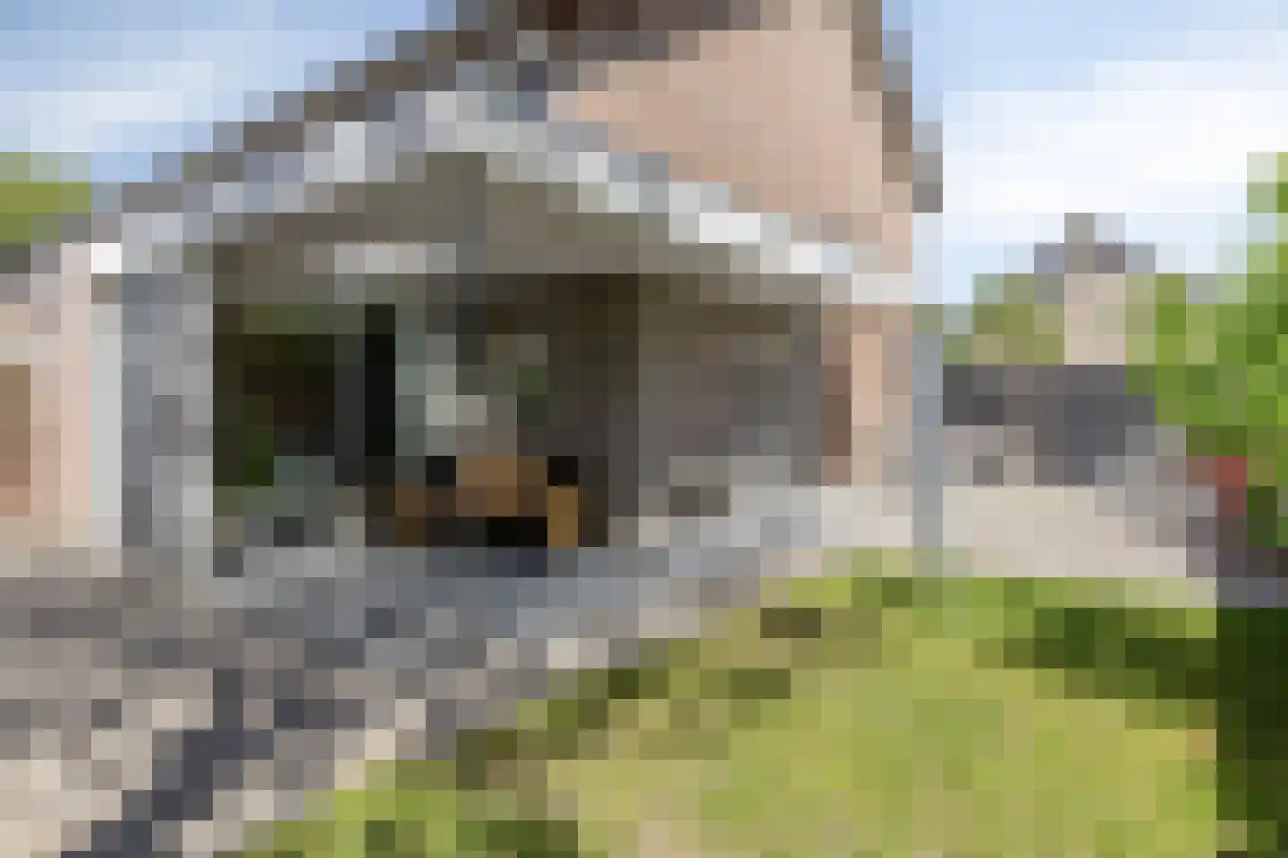 Saturnusstraat 35 Asten thumbnail 38