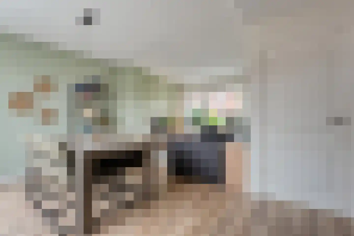 Saturnusstraat 39 Borne thumbnail 11
