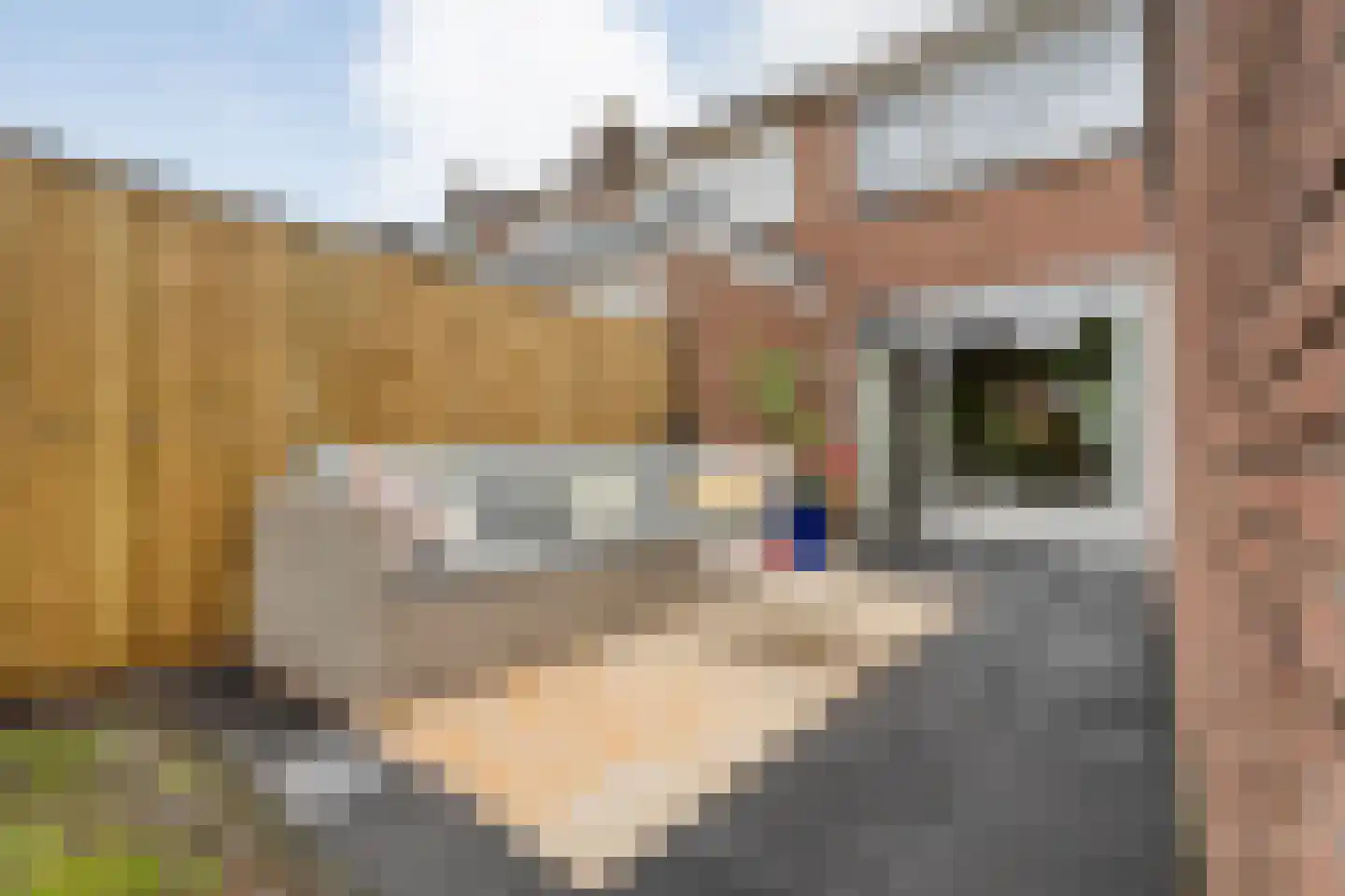 Saturnusstraat 39 Borne thumbnail 23