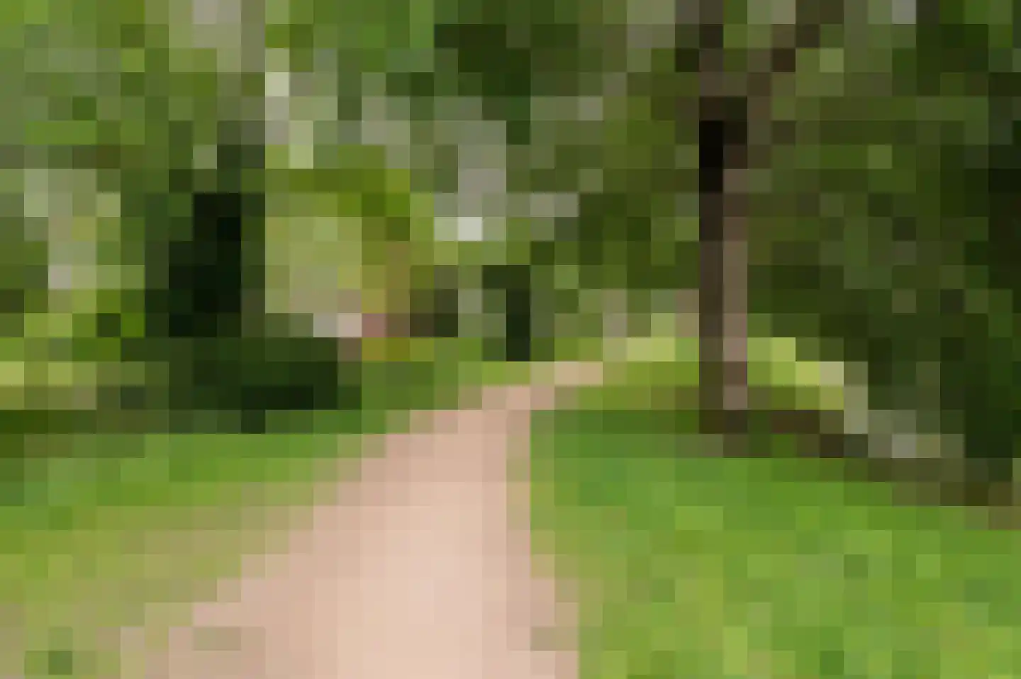 Saturnusstraat 4 Apeldoorn thumbnail 28