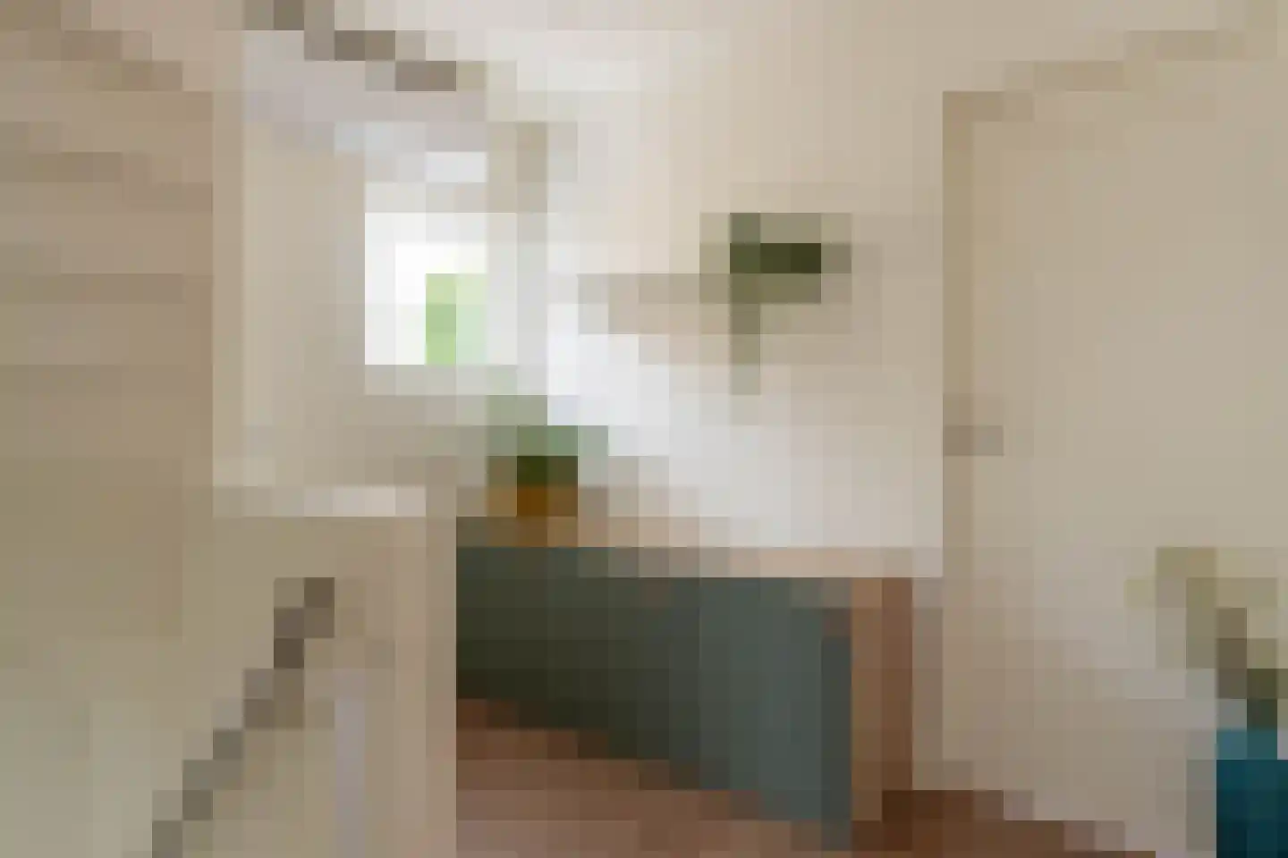 Saturnusstraat 4 Berlicum thumbnail 27