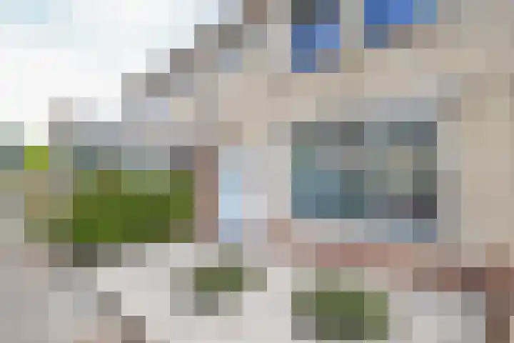 Saturnusstraat 4 Rockanje thumbnail 5