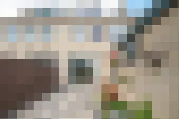 Saturnusstraat 4 Rockanje thumbnail 52