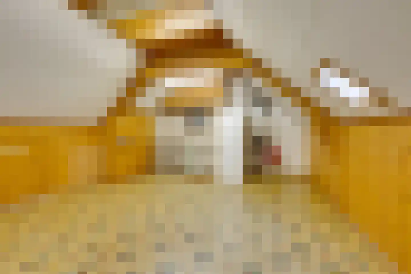 Saturnusstraat 43 Volendam thumbnail 38