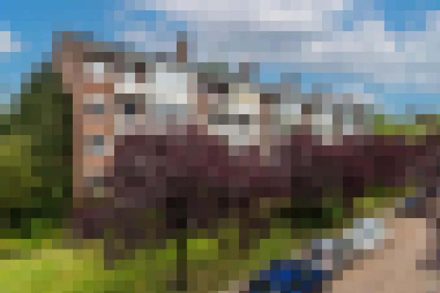Saturnusstraat 46 Apeldoorn thumbnail 27