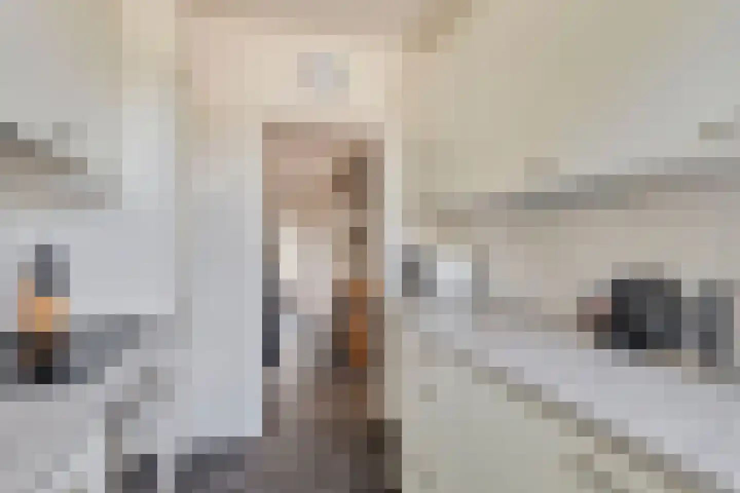 Saturnusstraat 50 Spijkenisse thumbnail 12