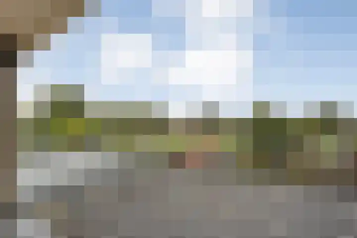 Saturnusstraat 56 Hardenberg thumbnail 31