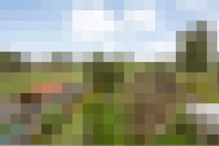 Saturnusstraat 56 Hardenberg thumbnail 33