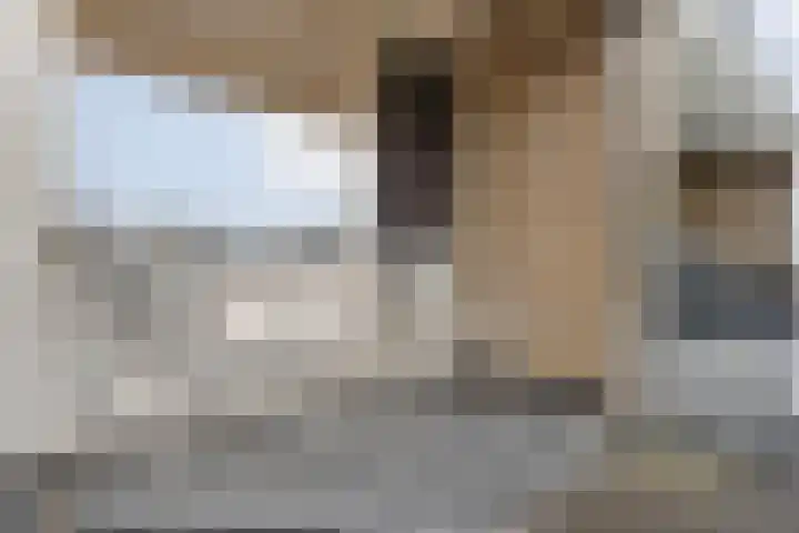 Saturnusstraat 56 Hardenberg thumbnail 34