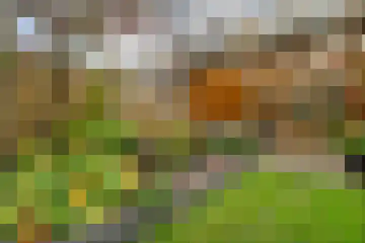 Saturnusstraat 56 Hardenberg thumbnail 39