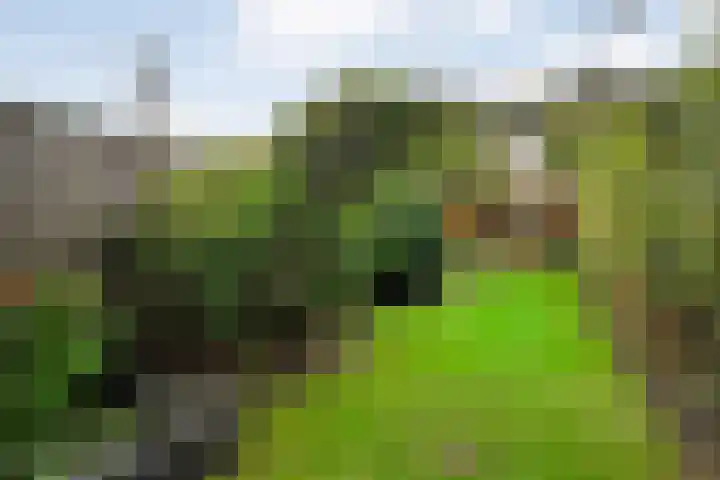 Saturnusstraat 56 Hardenberg thumbnail 41