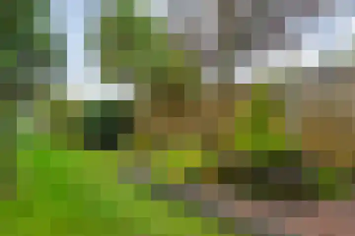 Saturnusstraat 56 Hardenberg thumbnail 43