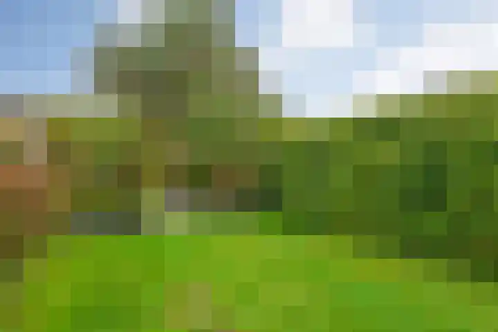 Saturnusstraat 56 Hardenberg thumbnail 44