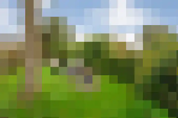 Saturnusstraat 56 Hardenberg thumbnail 49