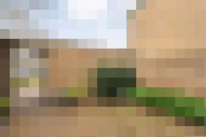 Saturnusstraat 56 Hardenberg thumbnail 5