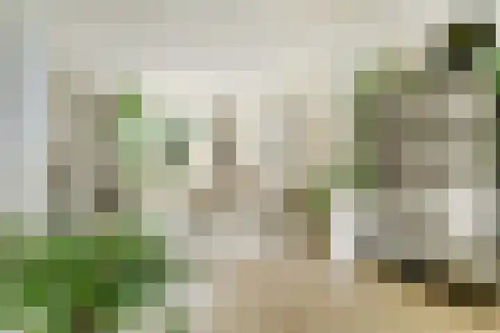 Saturnusstraat 57 Nijmegen thumbnail 8