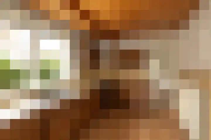 Saturnusstraat 62 Hilversum thumbnail 9