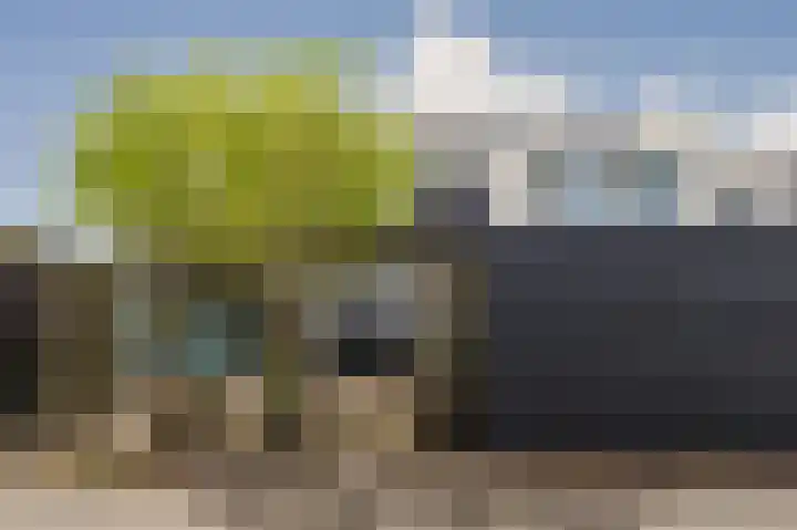 Saturnusstraat 63 Spijkenisse thumbnail 6